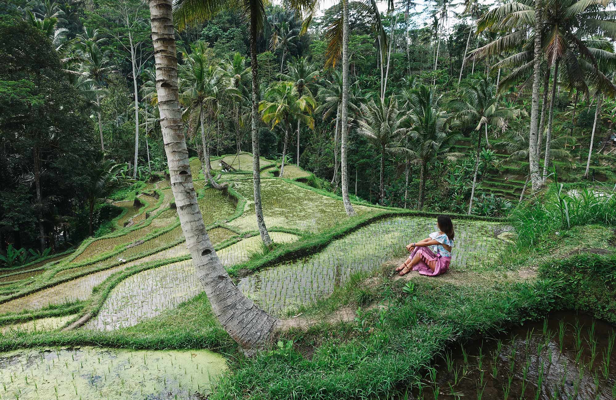 ubud-ricefields-girl-planning-travel-safe-cover
