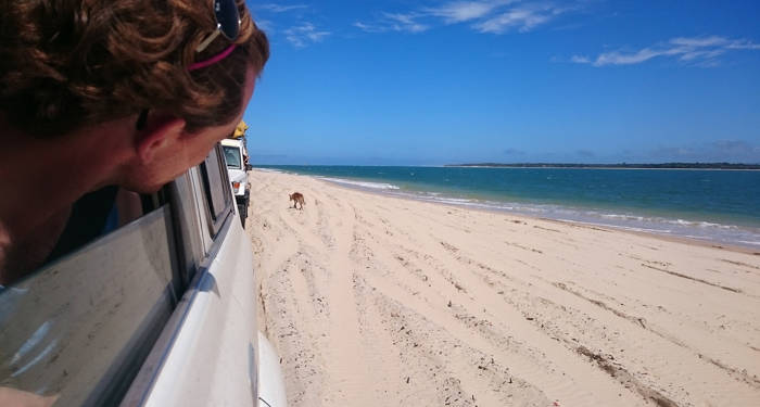 Fraser Island |  | Road trip Australia | Road trip on the East Coast | KILROY