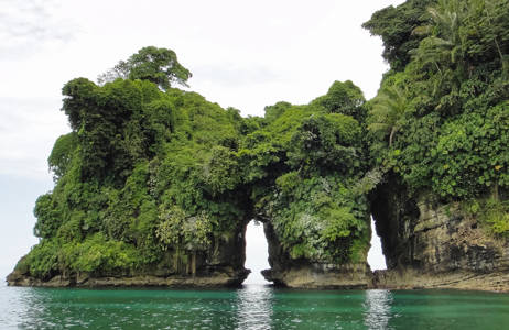 Panama Bocas Del Toro Bird Island