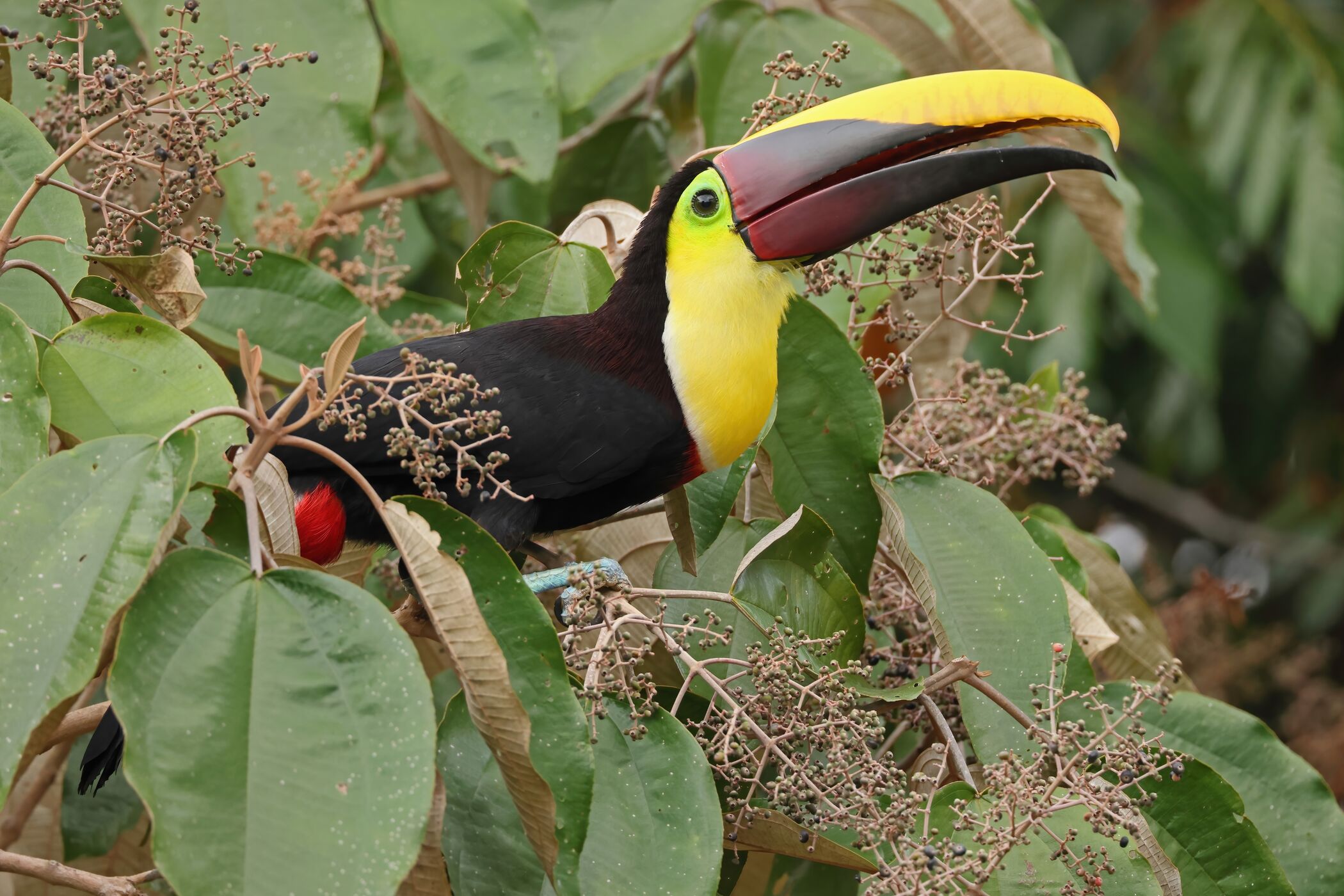 Web Horizontal Shutterstock 2514284347