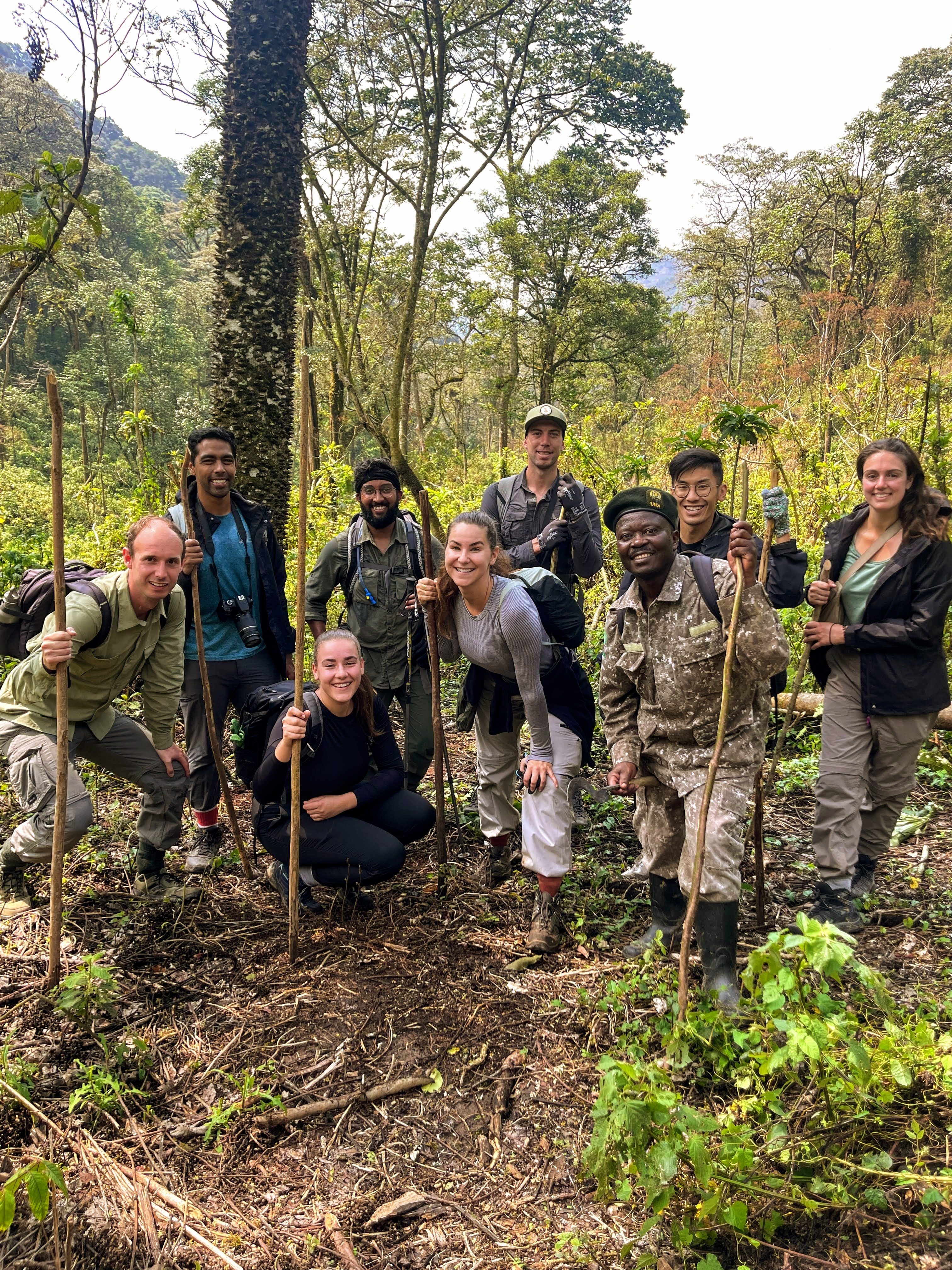 De groep tijdens de Gorilla trekking