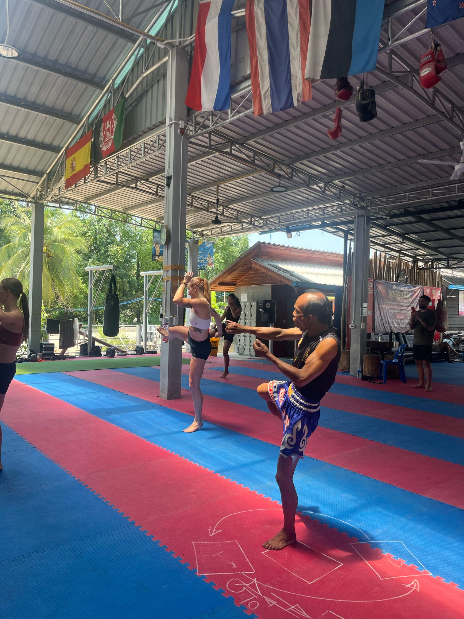 20250325 121328 50E224