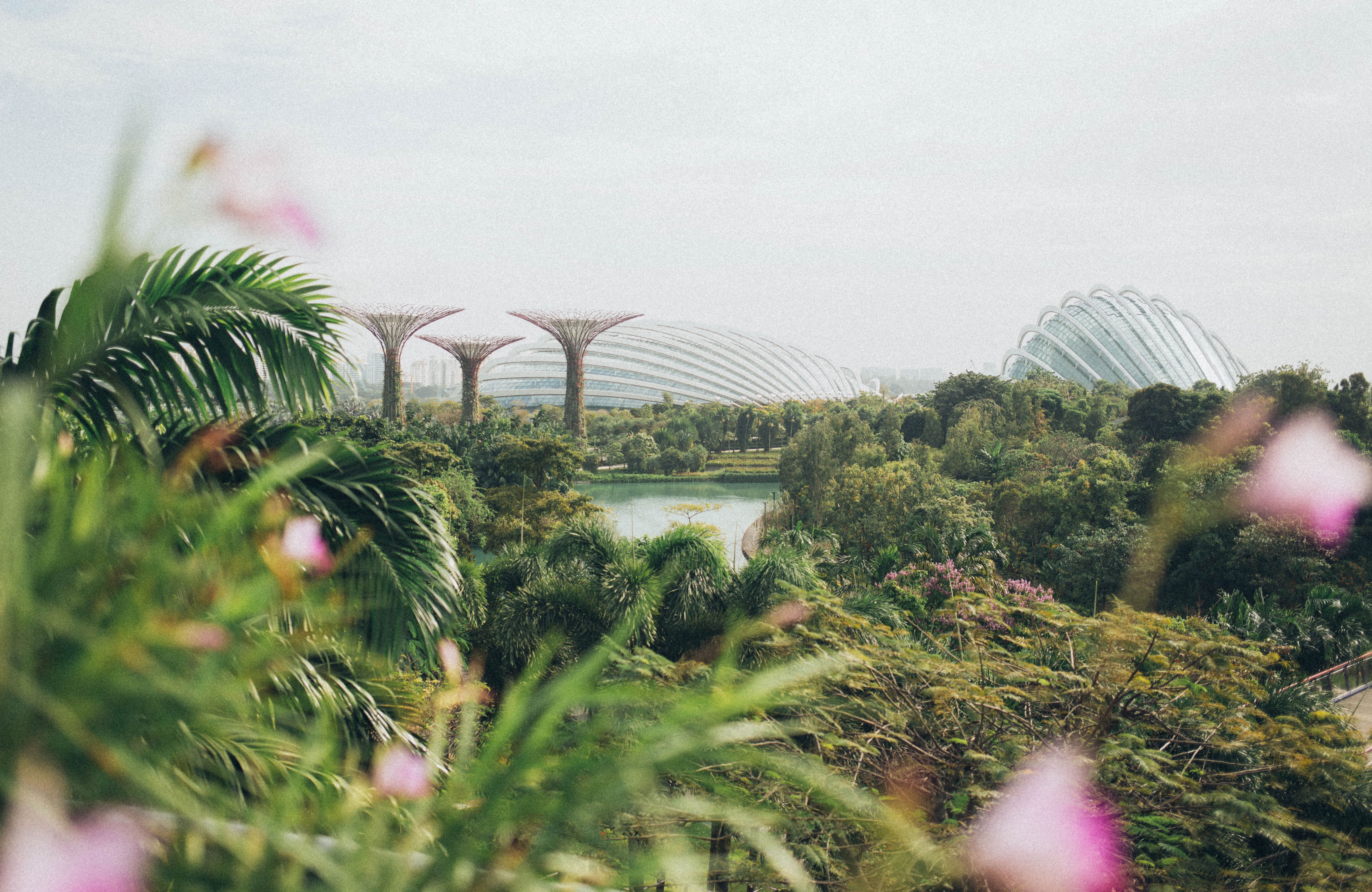 View over the Gardens by the Bay in Singapore