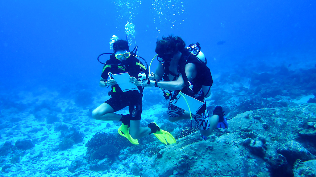 gvi-seychelles-3_1280x720