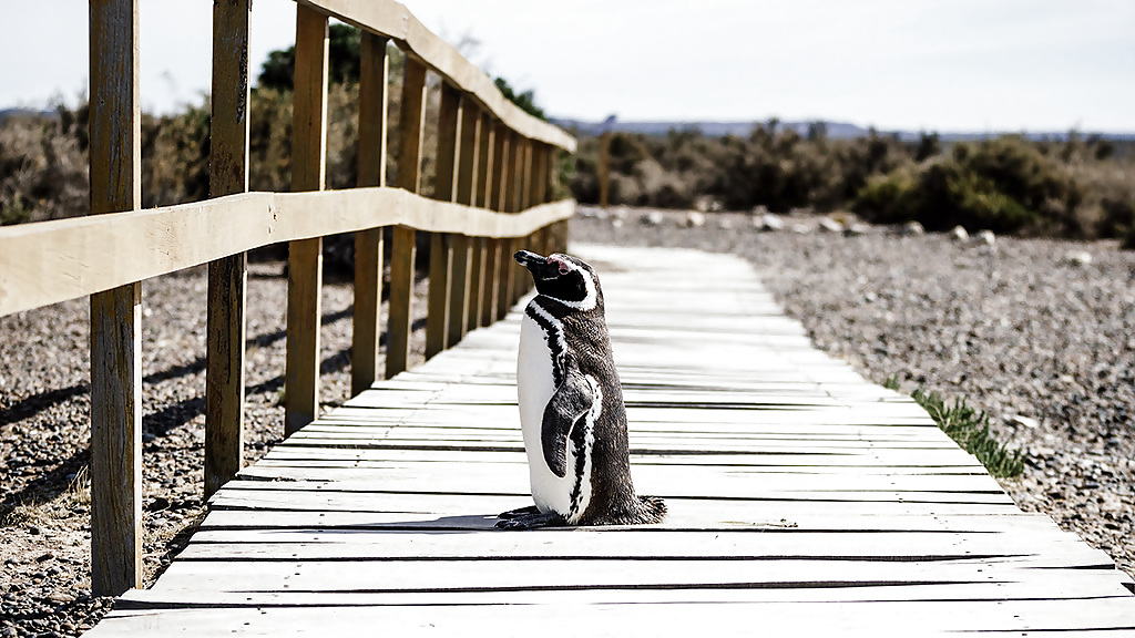 od025_8_1280x720_for_navi_web