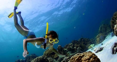 31373-2a96e754-573c-4d99-8f1e-3305fe567808-thumbnail