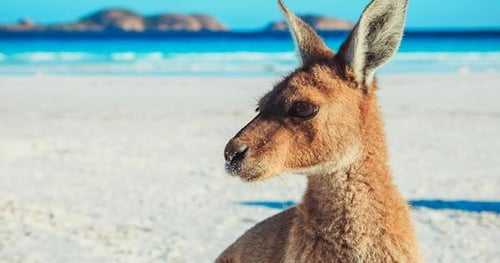 35212-4dd11718-6416-4751-9fd3-28ccb3e0355d-thumbnail