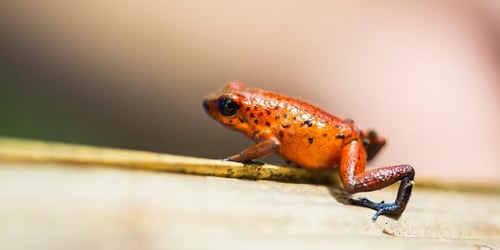 a4d8d0f3c3da01dc2d0a0ebaae5c1376