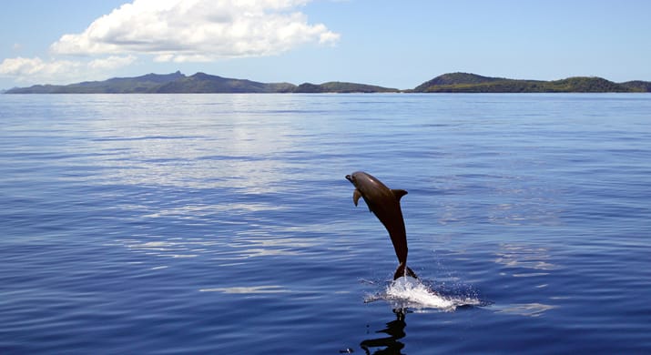 4_Fiji_Yasawas_Mantaray_Island
