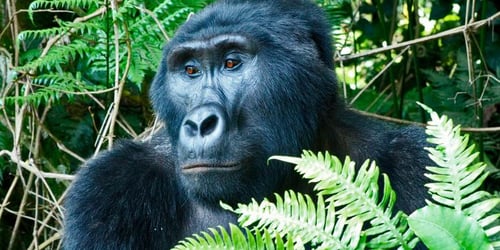 7414e666611fc054590f1a7421c25c61