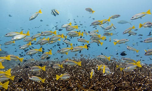 1_bv-product-XML_0000s_0001__DSC0858