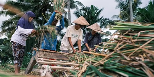 fb61bac878b13c6a502eeddc05ce0c32