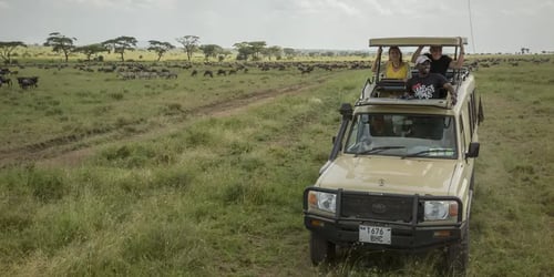 75477769270bd20c741501a924a2f902