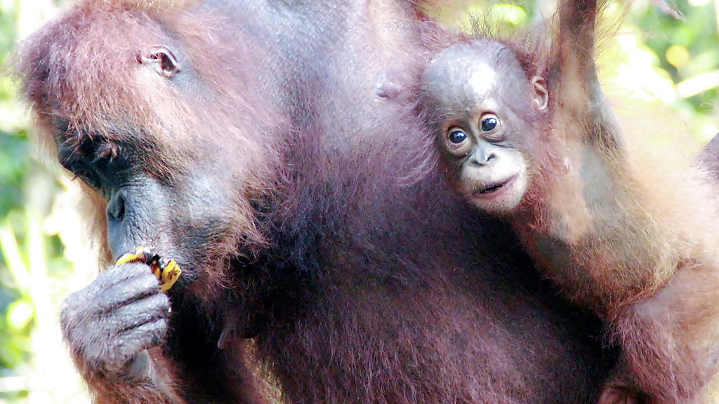 img_5451_1280x720_for_navi_web