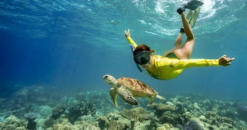 32251-9db26d58-86b0-46e3-bf5f-433e917209ec-thumbnail