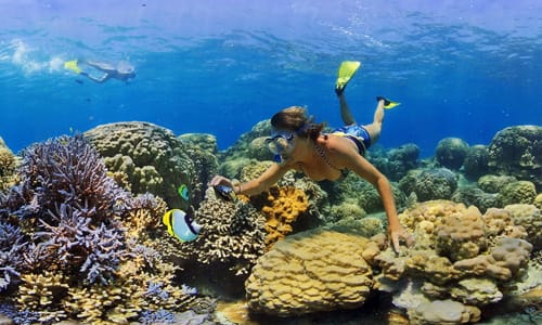 1_bv-product-snorkel-XML