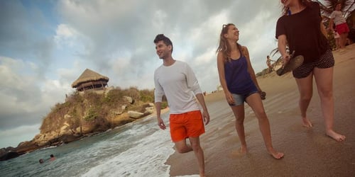 ec45ce95f92149b5e0178077ee7b155c