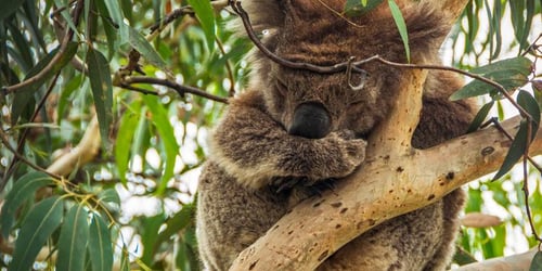 e269e9e9d059b898af48abb06b2f620b