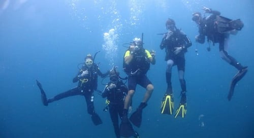 1_bv-product-web-gallery-colombia_0002s_0000s_0032_Diving-013