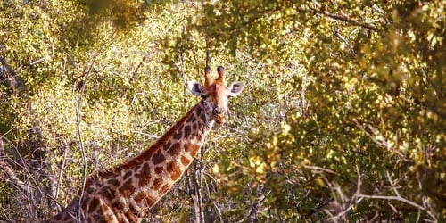 1ea934454113d142d7b27f21233aa536