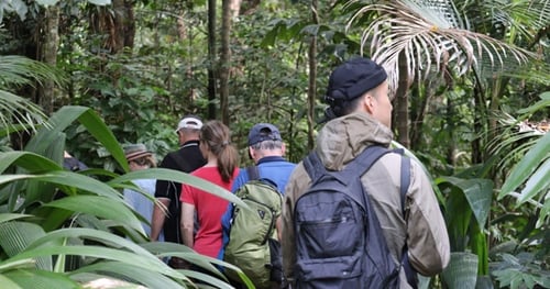 45064-3911a995-18ed-47b1-922e-ac454be69e04-thumbnail