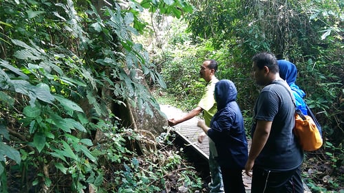 taman_negara_-_guided_walk_1280x720_for_navi_web