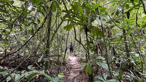 img_7896_1280x720_for_navi_web