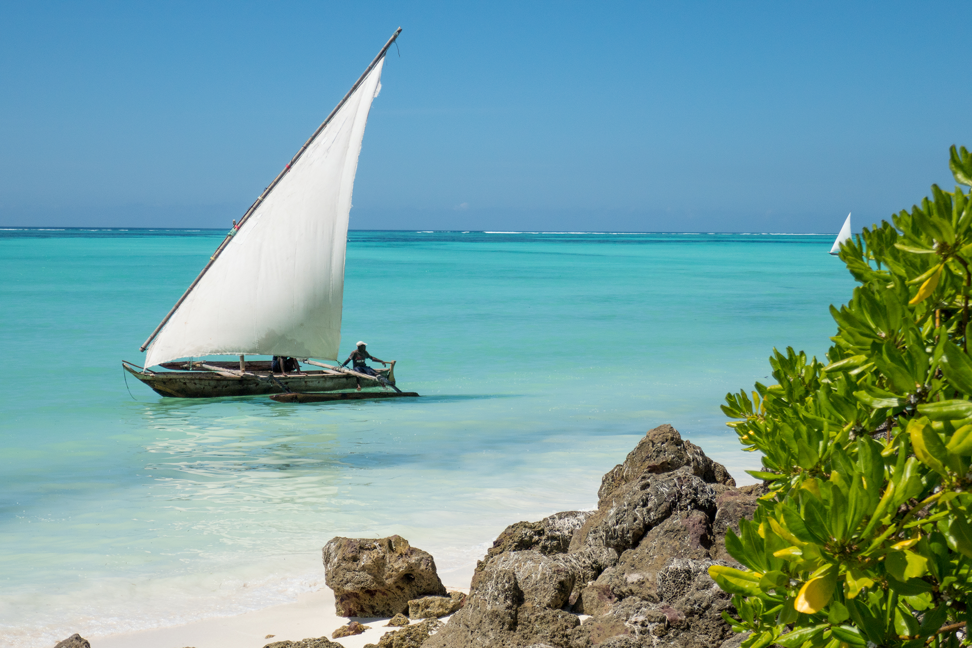 Shutterstock 1682778982