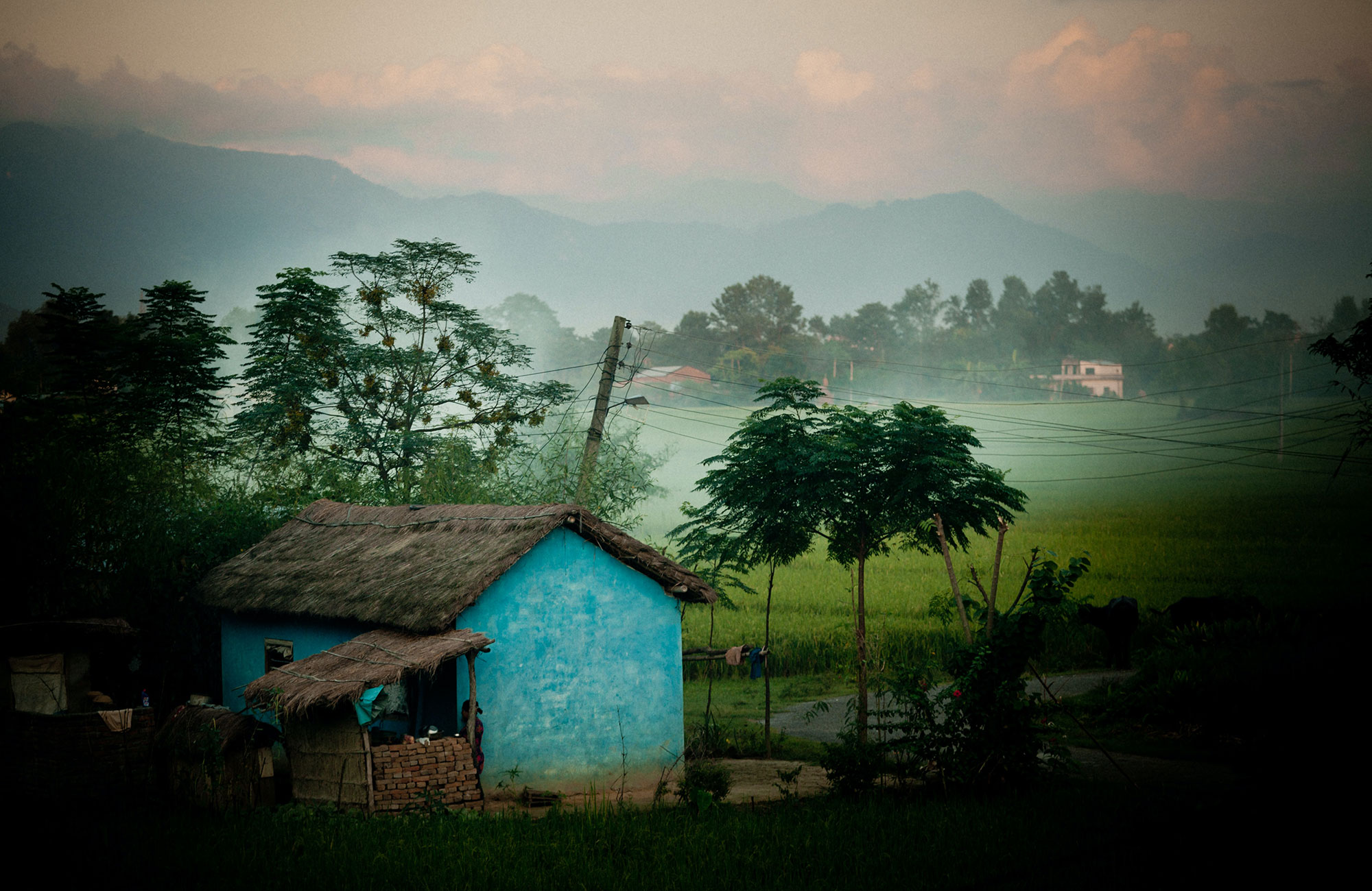 India House In Chitwan National Park